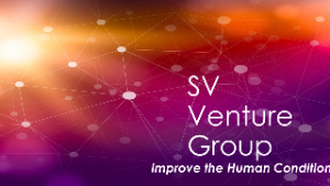 SV Venture Group logo