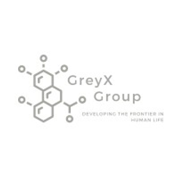 GreyX Group logo