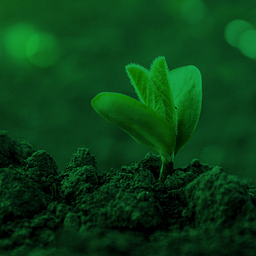 Greenbackers Investment Capital logo