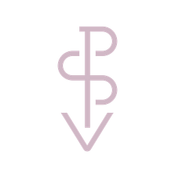 Pink Salt Ventures logo