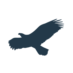 Corvus Ventures logo