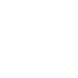 Treuenburg Group logo