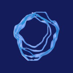 Visionary Ventures logo