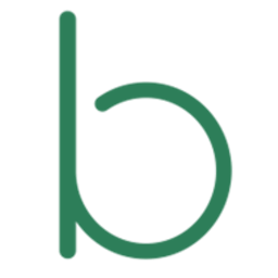 Bray Capital logo