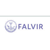 Falvir logo
