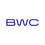 Blue Wire Capital logo