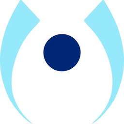 Business Angels of Slovenia logo